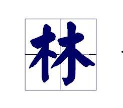9字笔顺视频,一笔一划间的历史传承