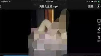 网络女主播黄鳝视频,揭秘背后真相与反思