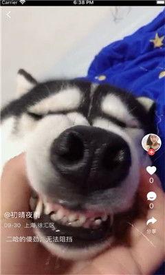 蜜丫视频,探索甜蜜生活的视觉盛宴