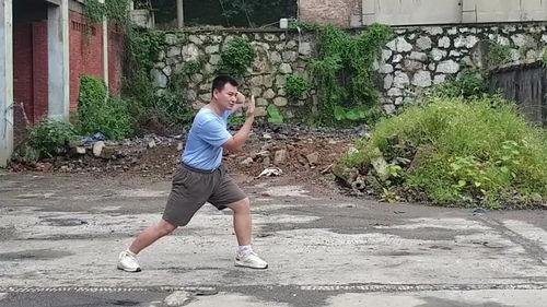 太乙火龙掌教学视频,一招火龙舞动，掌握内家拳精髓