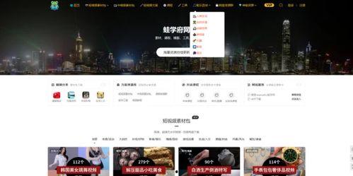 那种网站在线视频,深度解析内容与亮点