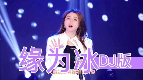 菲儿唱歌视频,歌声绕梁三日的音乐盛宴