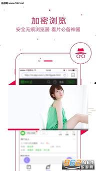 99视频播放器,畅享视听盛宴的全新体验之旅
