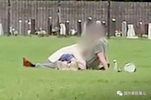 公园亲热视频,一段不期而遇的亲密视频引发热议