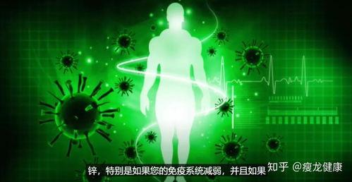 免疫系统视频,守护人体健康的防线奥秘