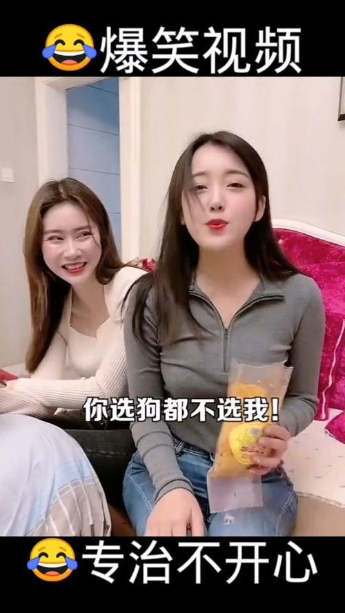 哈哈的视频,欢乐瞬间，笑点连连