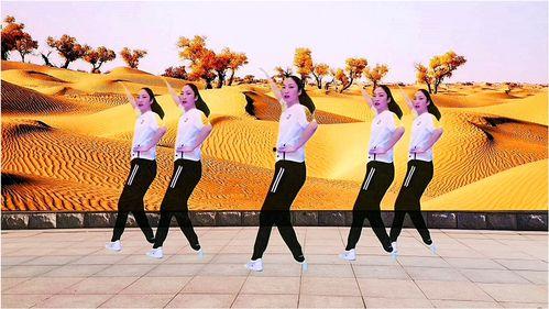 北方北方广场舞视频大全,尽享欢乐时光——北方广场舞视频大全精选